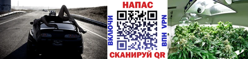 дарнет шоп  Волгореченск  Бошки Шишки гибрид 